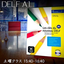 DELFA1, デルフA1,フランス語学力資格試験仙台