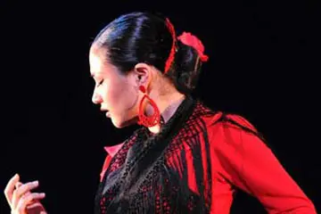 Flamenco | Sayané Brachet