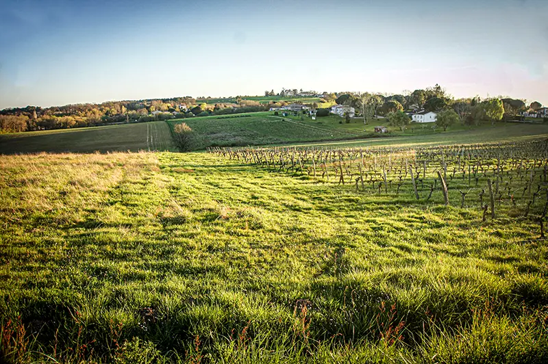 Chez-Jacques-05-3