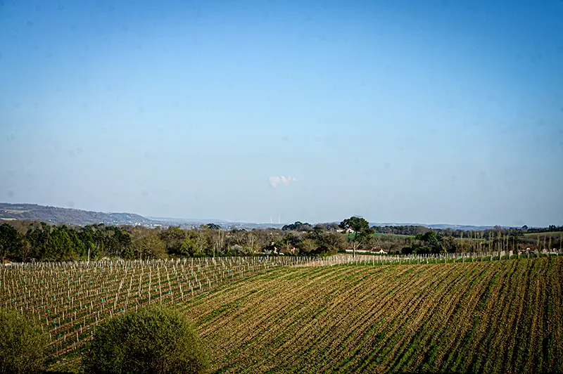 Chez-Jacques-05-5