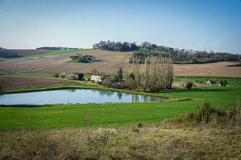 Chez-Jacques-06-5