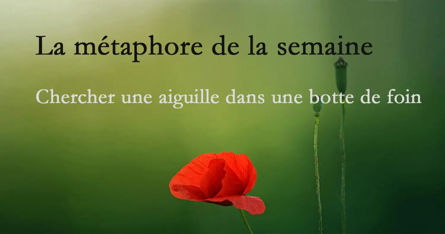 métaphore-1